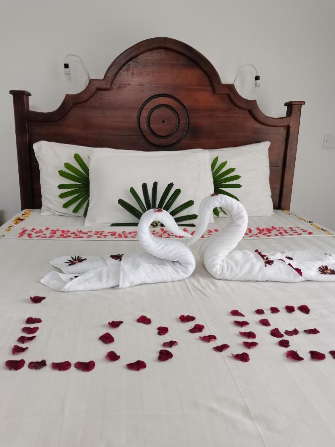 Nebula Residence Negombo Eksteriør billede