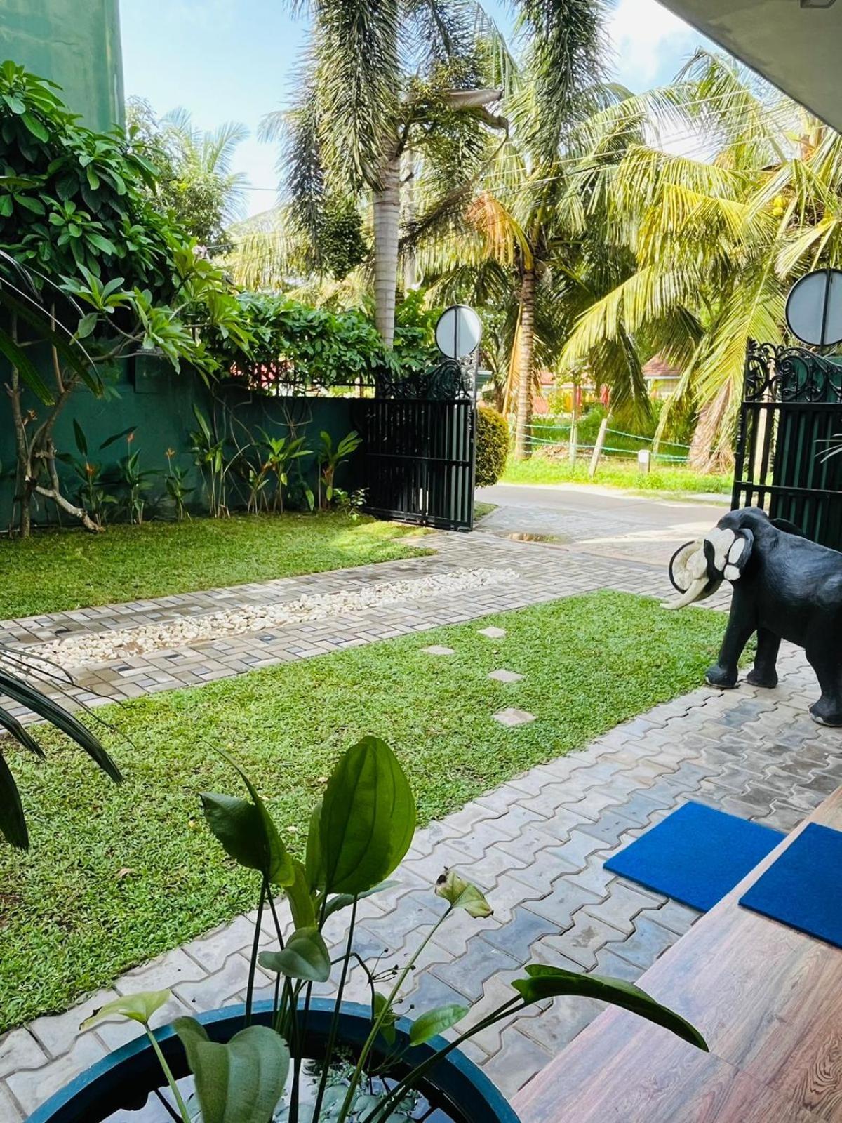 Nebula Residence Negombo Eksteriør billede