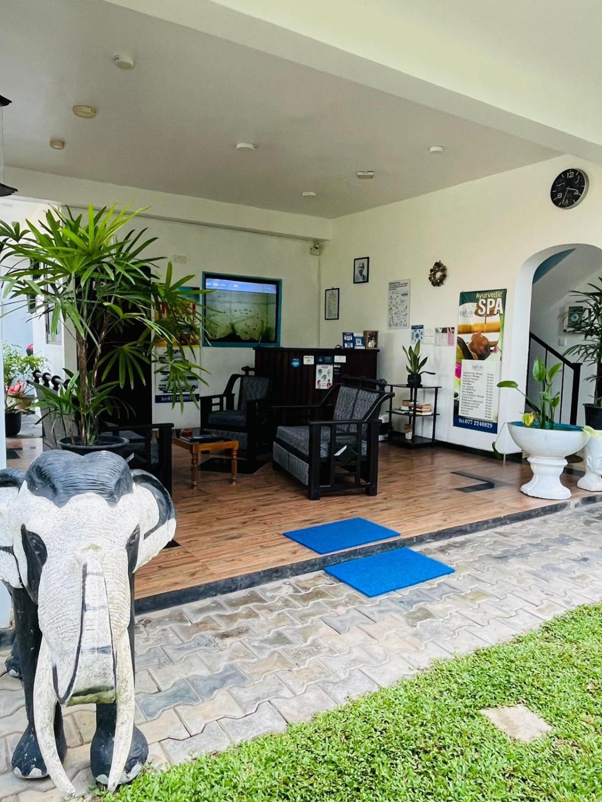 Nebula Residence Negombo Eksteriør billede